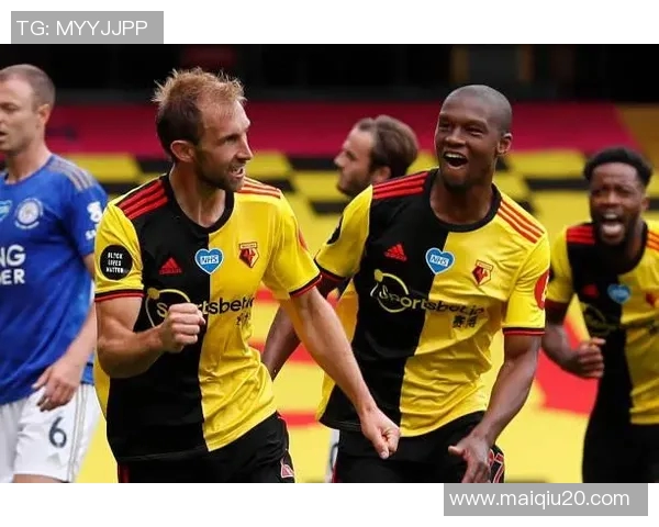 英超全国锦标赛中上海羽毛球队团队协作表现的深度分析与点评