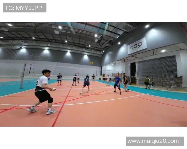 英超排球巨献揭秘北京排球队员的个人能力与团队协作之道