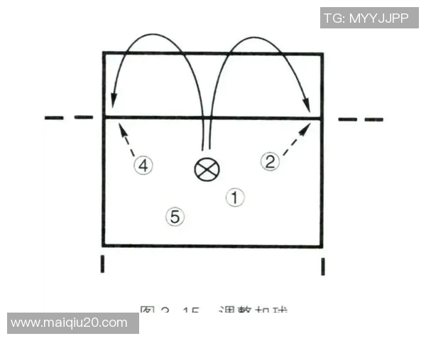 排球新手必看节奏入门技巧与欧冠足球战术解析指南