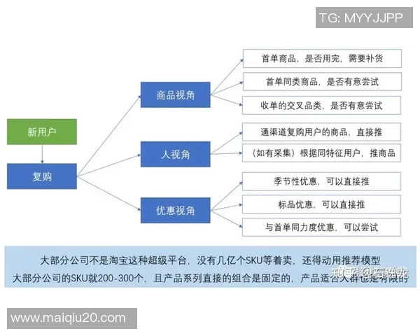 运动数据南京羽毛球队区域防守战术深度分析与实战应用探讨